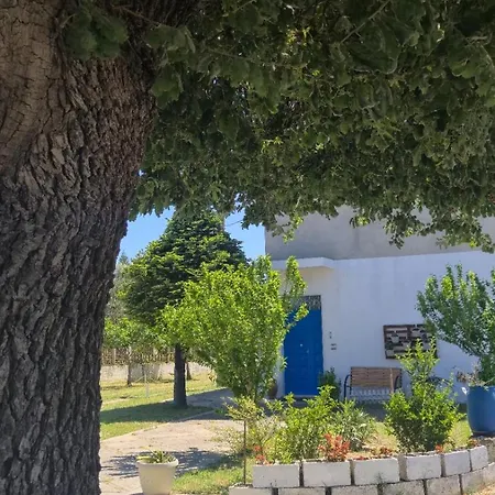 La Casa Del Mastro *